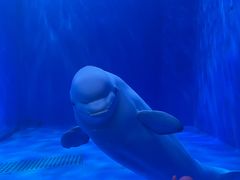 -多彩贵州城极地海洋世界