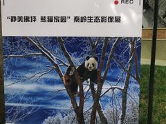 -西安电影制片厂