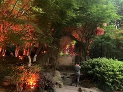 -杭州黄龙洞