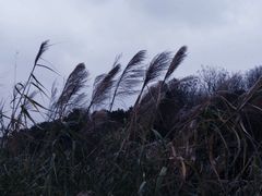 -贵阳市花溪国家城市湿地公园