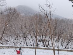 -北京西山国家森林公园