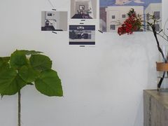 用餐区-素咫咖啡CLIFEROSE(新安店)
