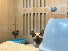 -乐宠宠物店(世纪金源店)