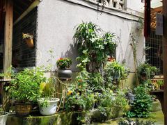 -王万妈卤猪脚(青岩交通路)