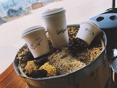 -Seesaw Coffee(朝阳大悦城店)