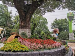 -苏州乐园森林水世界