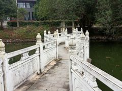 -青龙山国家森林公园