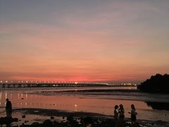 -宝安西湾红树林湿地公园