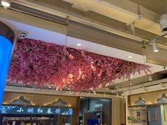 -小桃红·东北菜·春饼烤鸭(南阳湖街店)