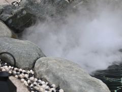 -美的鹭湖森林度假区