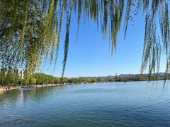 -济南国际园博园