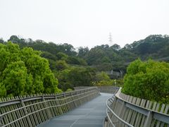 -福道