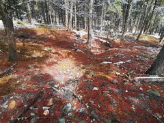 -硗碛藏寨·神木垒景区