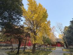 -大钟寺古钟博物馆