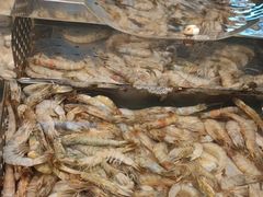 -比亚森自助烤肉料理(裕华店)