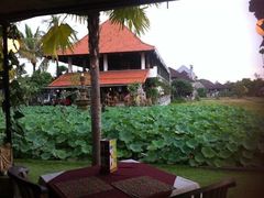 -Pundi Pundi Restaurant