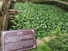 -无锡惠山寺