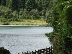 -武陵山森林公园