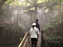 -青青世界