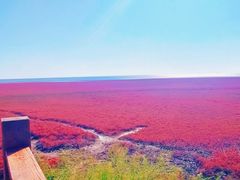 -红海滩国家风景廊道