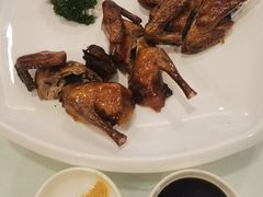 -新梅园不夜粥(龙华店)