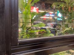 -厨房好味(国贸店)