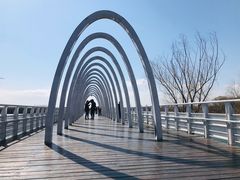 -大兴滨河森林公园