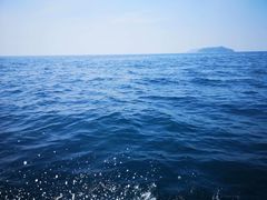 -东姑阿都拉曼海洋公园