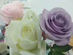 -Flower in(密渡桥店)