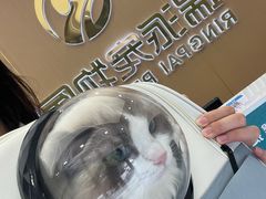 -瑞派康怡24h宠物医院·犬猫医疗中心·微创绝育(瑞景分院)
