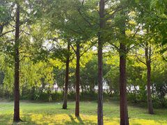 -鉴湖国家城市湿地公园