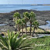 济州岛规模zui大咖啡店对面就是飞扬岛