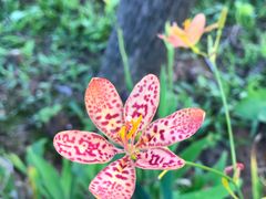 -美的鹭湖探索王国