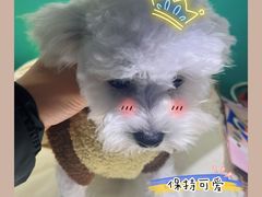 -悠尼宠物·独立低压伊珊娜洗护·美容·寄养(兰谷路店)