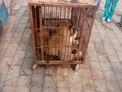 -回龙观体育文化公园