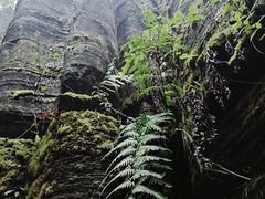 -梭布垭石林景区