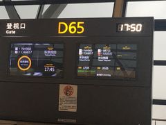 -上海浦东国际机场-T2航站楼