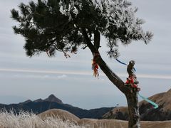 -萍乡武功山风景名胜区