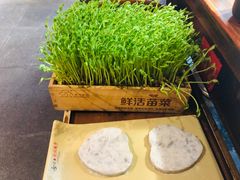 -渝味晓宇火锅(合川路店)