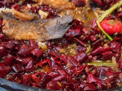 -老板恋上鱼(恒隆广场店)