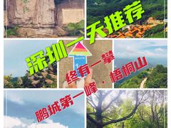 -梧桐山风景名胜区