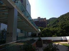 -香港大学