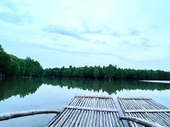 -尚湖风景区