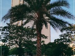 -五指山生态小黄牛(皮皮虾海鲜广场店)