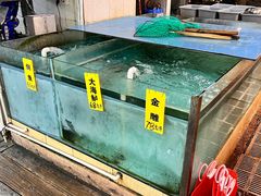 -寻味顺德·南记酒家·传统顺德菜·鱼生(广源路店)