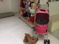 -BABYDOG宝贝狗宠物乐园(欧洲城店)