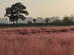 -汉长安城未央宫国家考古遗址公园