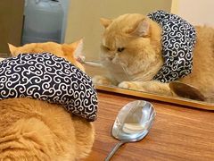 -汉堡王(青岛胶州宝龙广场店)