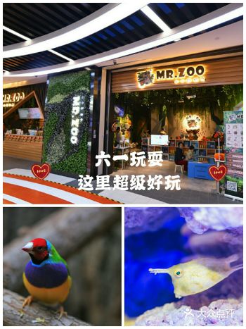 六一遛娃 | 嘉定新城动物园六一亲子参观优惠大放送~