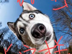 -大卫健身·普拉提